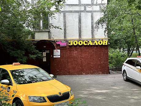 IMG_3684.jpg