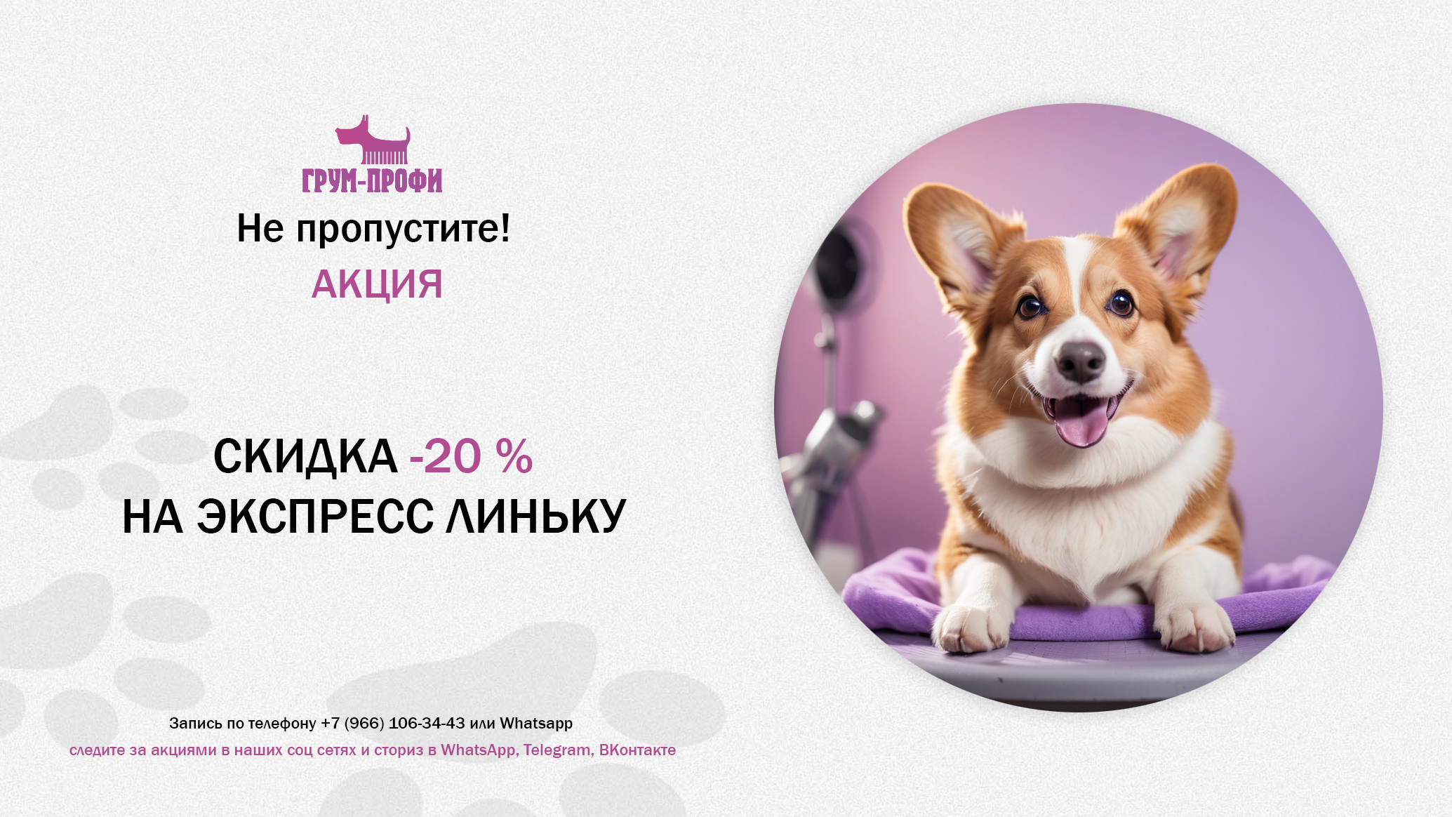 Грум-профи