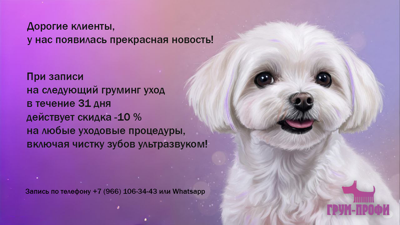 Грум-профи